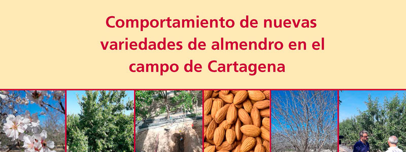 Publicación sobre nuevas variedades de almendro en el Campo de Cartagena