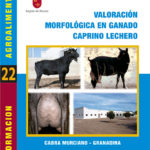 Valoración morfológica en ganado caprino lechero