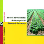 Balance de variedades de lechuga en el Campo de Cartagena