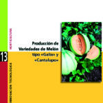 Producción de variedades de melón tipo "Galia" y "Cantalupo"
