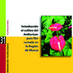 Introducción al cultivo del Anthurium para flor cortada en la Región de Murcia