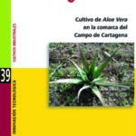 Cultivo de Aloe Vera en la Comarca del Campo de Cartagena