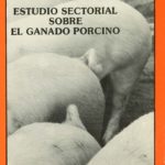 Estudio sectorial sobre el ganado porcino