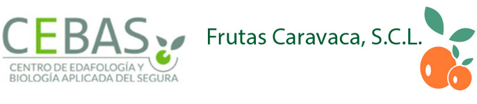 Logos de empresas colaboradoras (CEBAS y Frutas Caravaca)