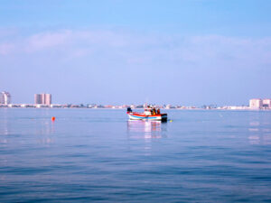 Mar Menor